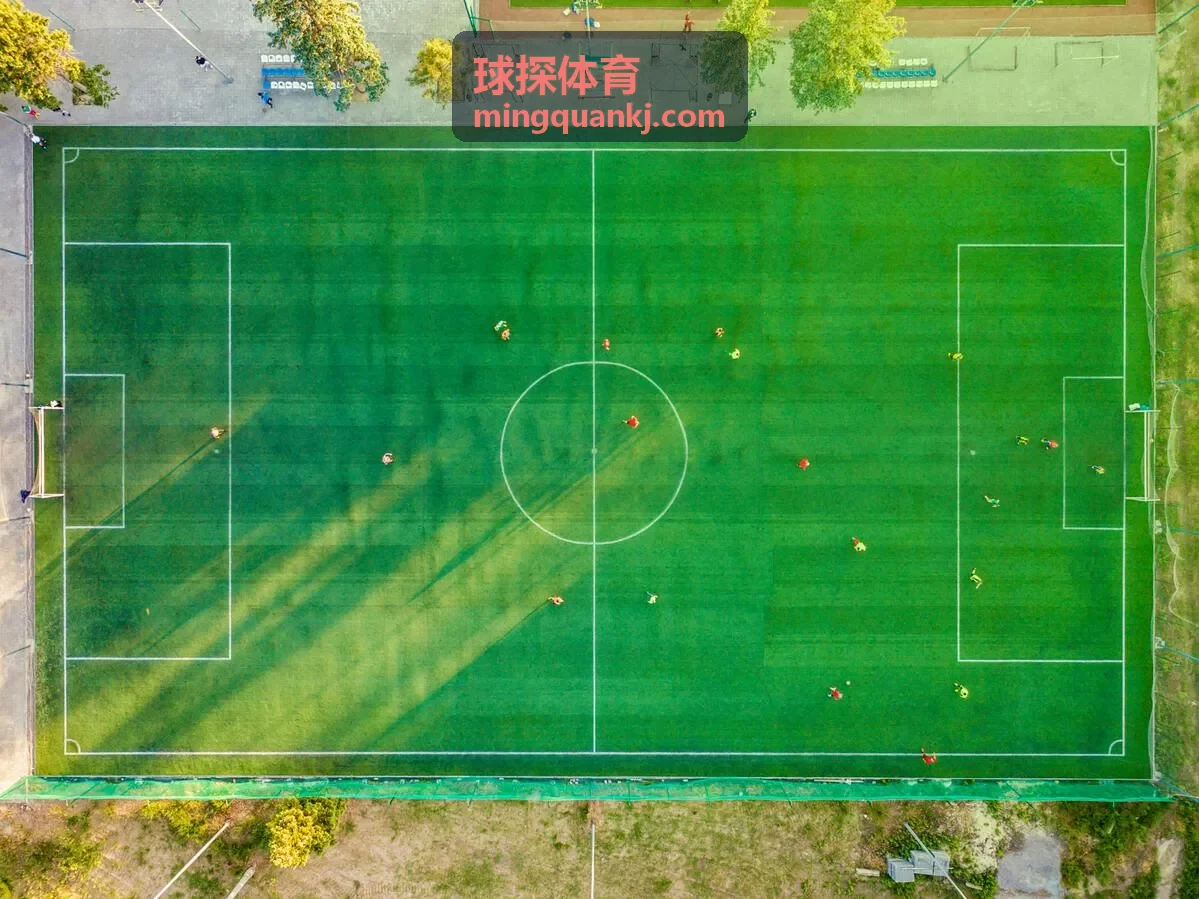 球探体育案例