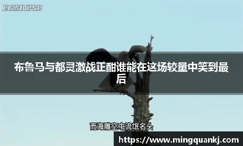 k1体育十年品牌值得信赖